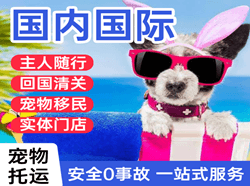 黄花机场空运国际宠物托运 【国